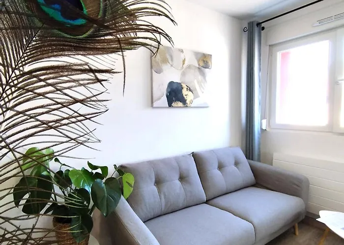 Home Suite Metz & Place De Parking Privee